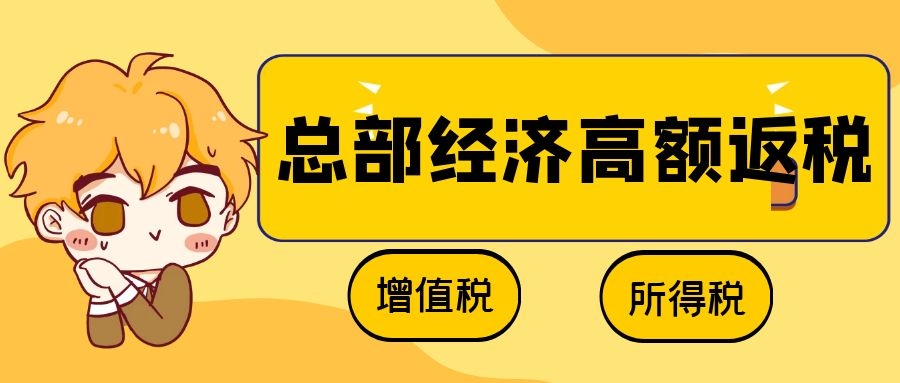 湖南國家級園區 國資控股 財政返還 即征即返！